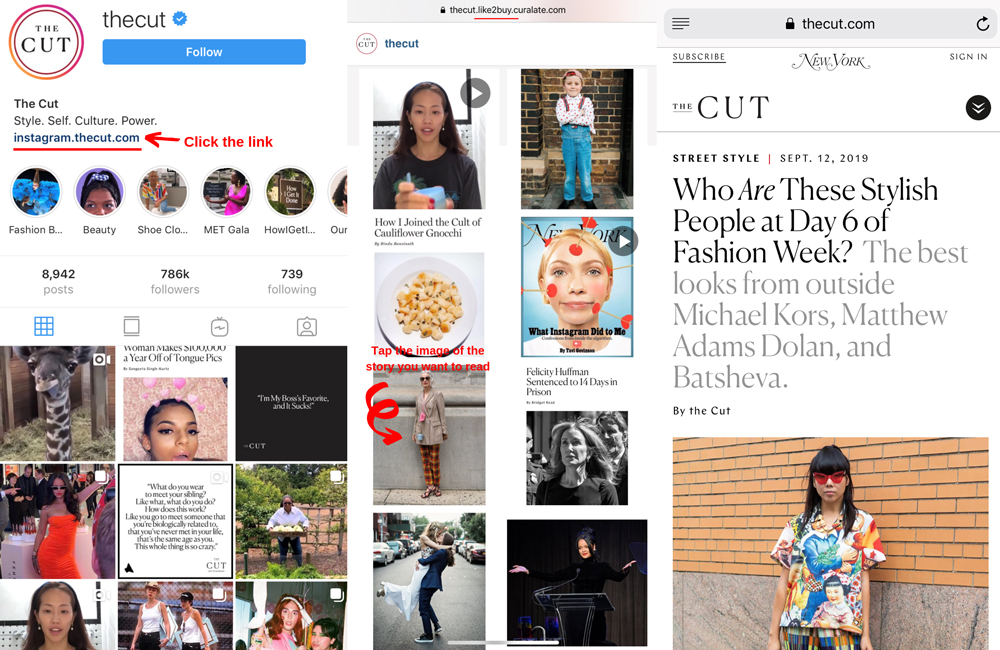 The Cut magazine